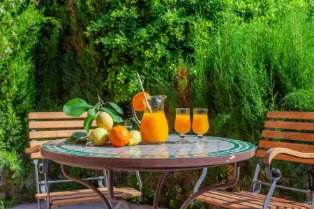 Finca Ca´s Curial - 12