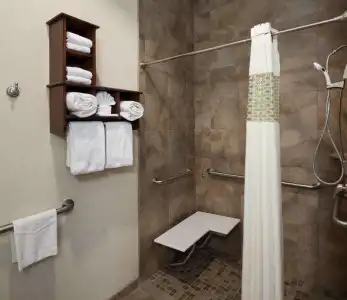 Hampton Inn & Suites Dallas-Arlington-South - 64