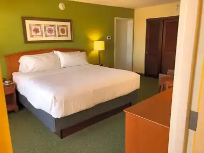 Holiday Inn & Suites Clearwater Beach by IHG - 184