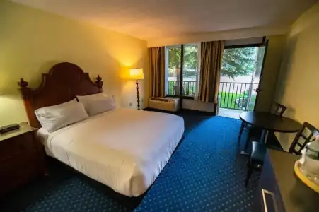 Holiday Inn Resort Bar Harbor - Acadia Natl Park by IHG - 53
