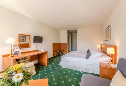 Metropole Interlaken - 41
