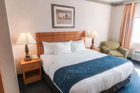 Comfort Suites University Las Cruces - 53
