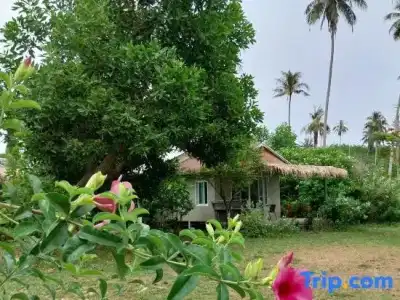 Naivacha Tent Koh Mak - 58