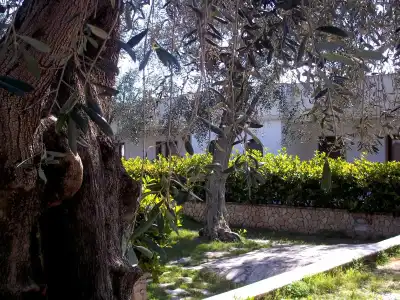 Villaggio San Matteo - 18
