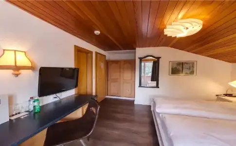 The Larix -Ski in, Ski out - 40