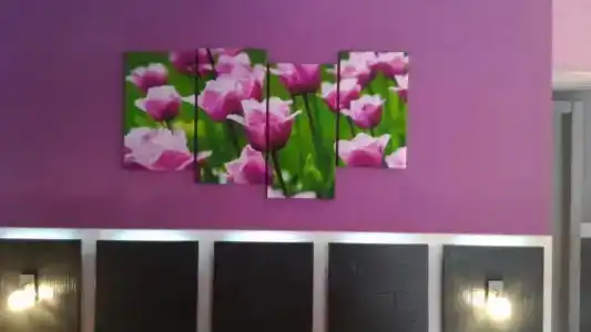 Albis Rooms Guest House - 115