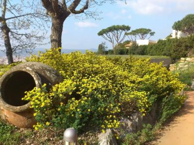 Mas Ses Vinyes - Adults Only - 18