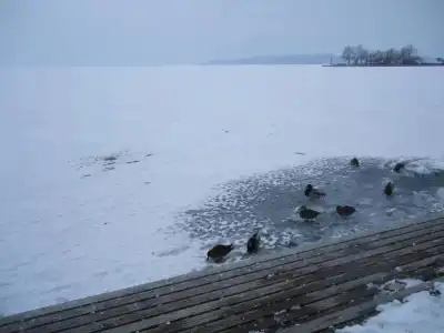 Kek Laguna Vendeghaz - 11