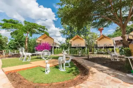 Mont blanc base camp khao yai - 85
