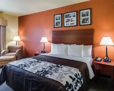 Sleep Inn & Suites Tyler South - 45