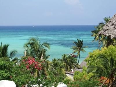 Zan View - 18