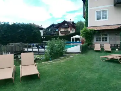 Alpen Eghel - 10