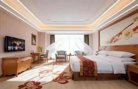 Vienna International (Dongguan Shijie) - 4
