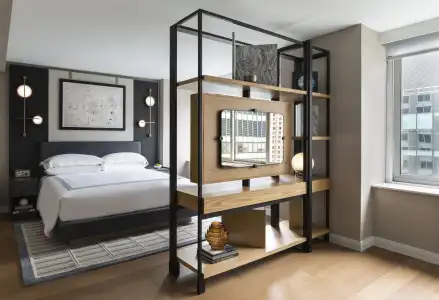 Thompson Central Park New York, by Hyatt - 3