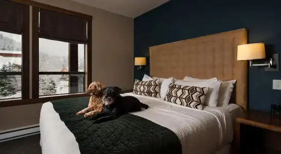 Evolution Whistler, by Lodging Ovations - 3