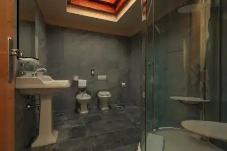 Bernina 1865 - 65