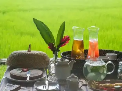 Maya Tangalle Luxury Wellness Manor - 10