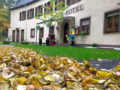 Parkhotel - 23