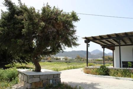 Milos Sea Resort - 49