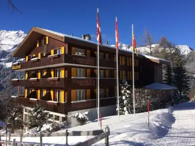 Bellevue - Traditional Swiss Hideaway - 0
