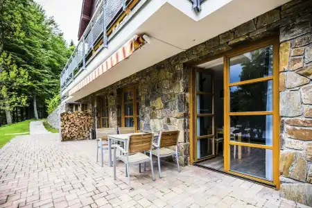 Amenity & Resort Špindlerův Mlýn - 169