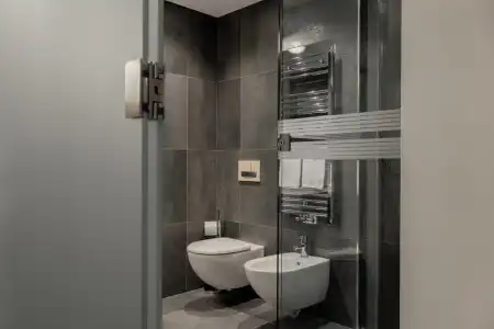 Orso Grigio - 40