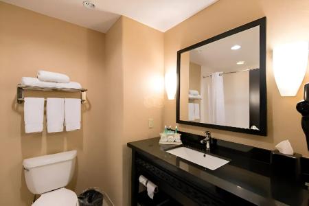 Comfort Inn & Suites Dallas Medical - Market Center - 33
