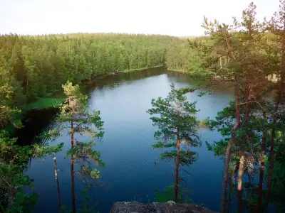 Nuuksio - Conferences and Events - 42