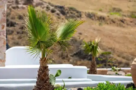 Desiterra Resort - 135