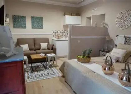 Apartamentos Luna Suites Palacio Almagra - 100