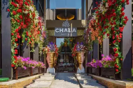 Chala Number 6 - 0