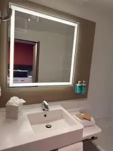 Novotel Suites Rouen Normandie - 196