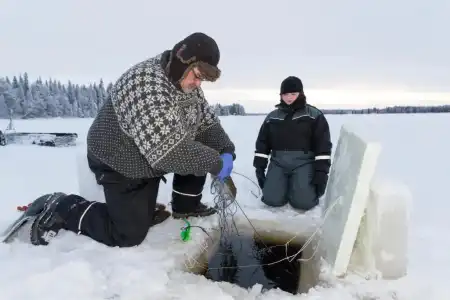 Ranua Resort Arctic Igloos - 10