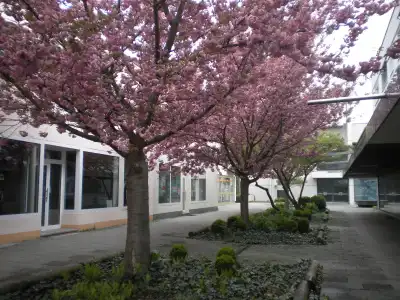 Lindleinsmühle - 17