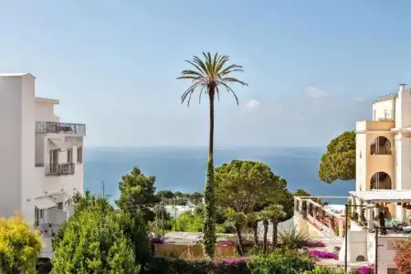 Pazziella, a Luxury Collection, Capri - 31