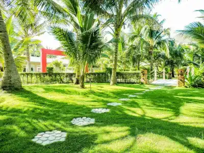 Sandunes Beach Resort & Spa - 28