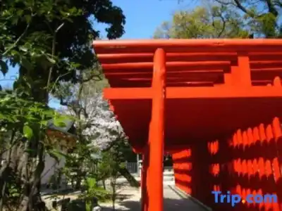 Seto Park - 22