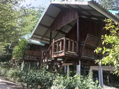 Rasta House - 33