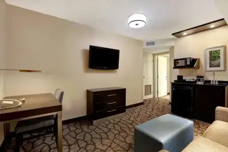 Hyatt Regency Niagara Falls Fallsview - 45