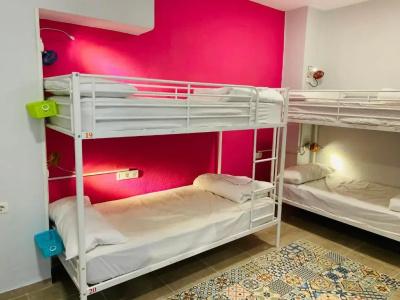 Oh My Hostel - 53