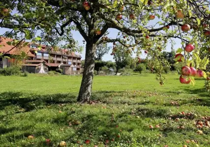 am Haslinger Hof - 23