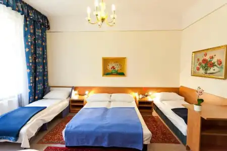 Hotel-Pension Bleckmann - 43