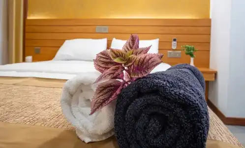 Nala Veli Beach & Spa - 22