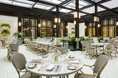 Alvear Icon - 30