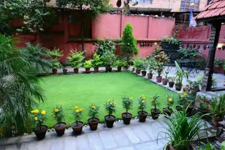 Green Horizon - 13