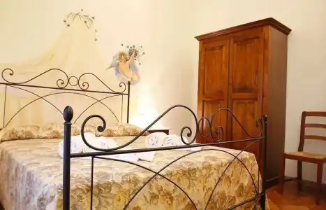 Gatto Bianco Tizzauli - 49