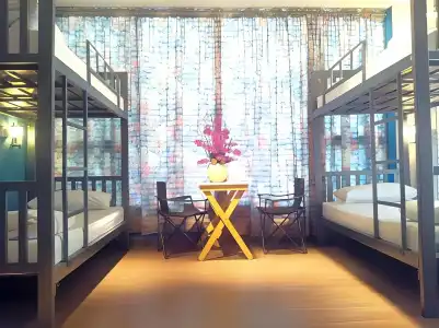 Foresttel.bkk - 4