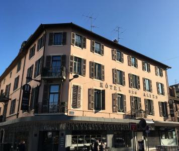 Hôtel des Alpes - 0