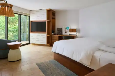 Andaz Maui at Wailea Resort - a concept by Hyatt - 49
