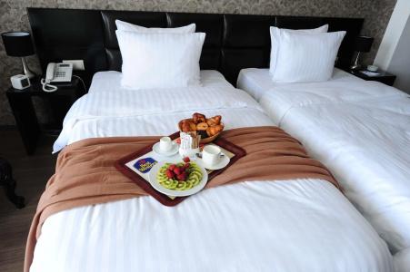 Best Western Tbilisi Art - 8